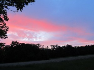 sunrise over South Carolina field